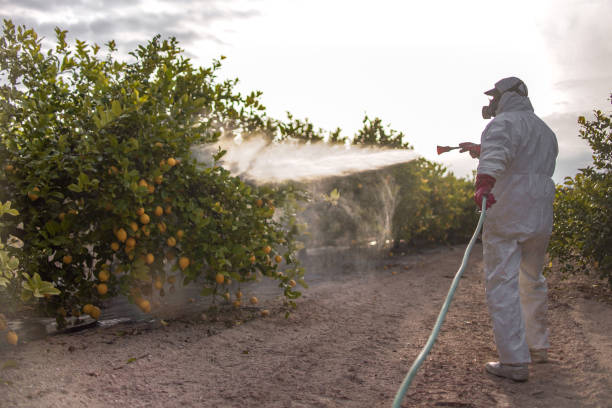 Best Cockroach Control Services  in Richwood, LA