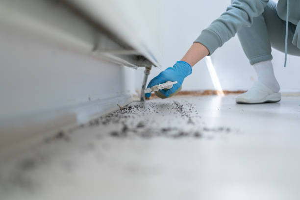 Best Exterminator Services  in Richwood, LA